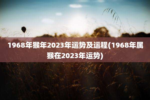 1968年猴年2023年运势及运程(1968年属猴在2023年运势)