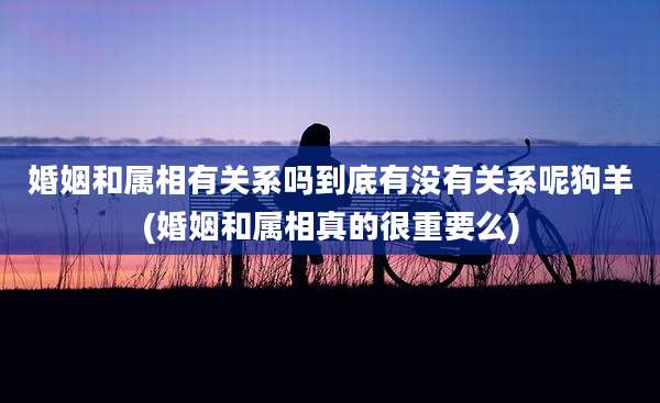 婚姻和属相有关系吗到底有没有关系呢狗羊(婚姻和属相真的很重要么)