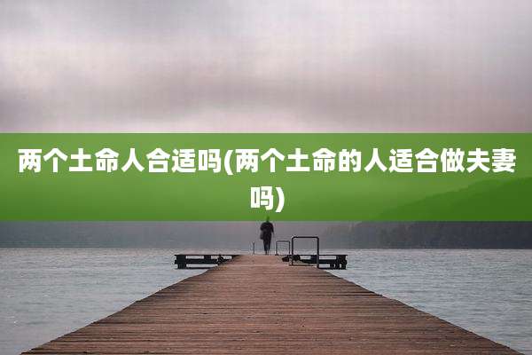 两个土命人合适吗(两个土命的人适合做夫妻吗)