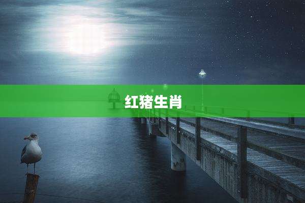 红猪生肖