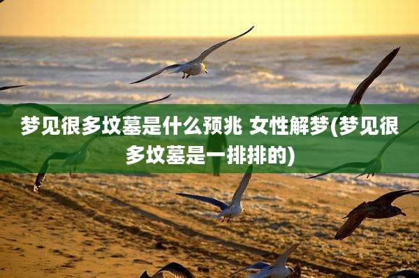 梦见很多坟墓是什么预兆 女性解梦(梦见很多坟墓是一排排的)