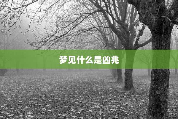 梦见什么是凶兆