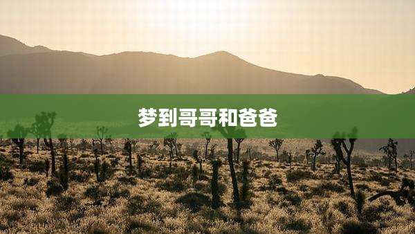 梦到哥哥和爸爸