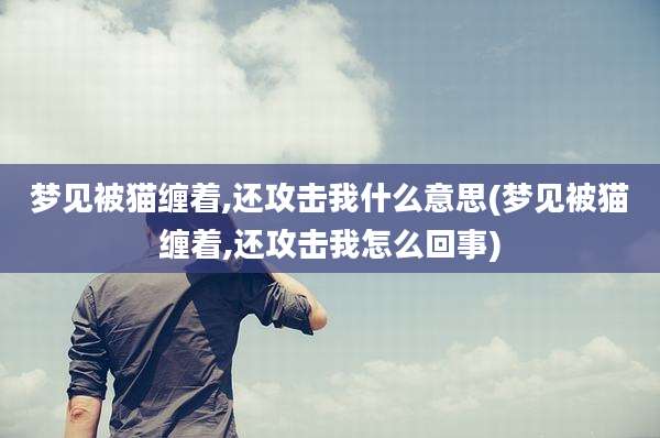 梦见被猫缠着,还攻击我什么意思(梦见被猫缠着,还攻击我怎么回事)