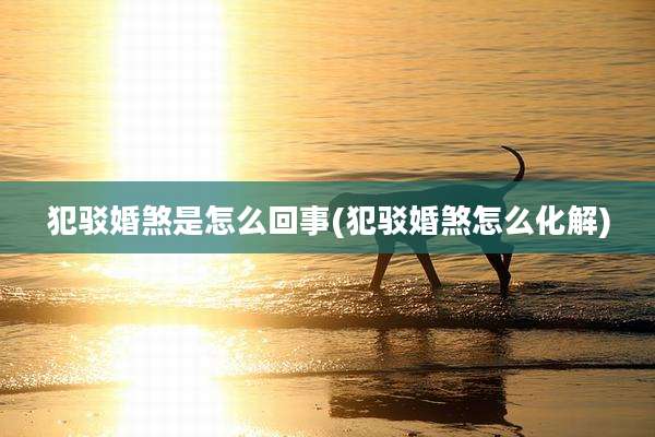 犯驳婚煞是怎么回事(犯驳婚煞怎么化解)