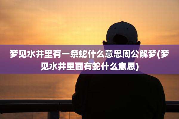 梦见水井里有一条蛇什么意思周公解梦(梦见水井里面有蛇什么意思)
