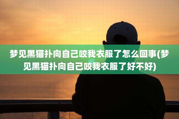 梦见黑猫扑向自己咬我衣服了怎么回事(梦见黑猫扑向自己咬我衣服了好不好)