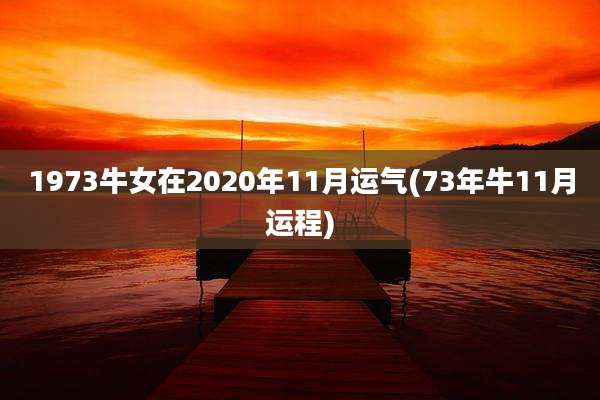 1973牛女在2020年11月运气(73年牛11月运程)