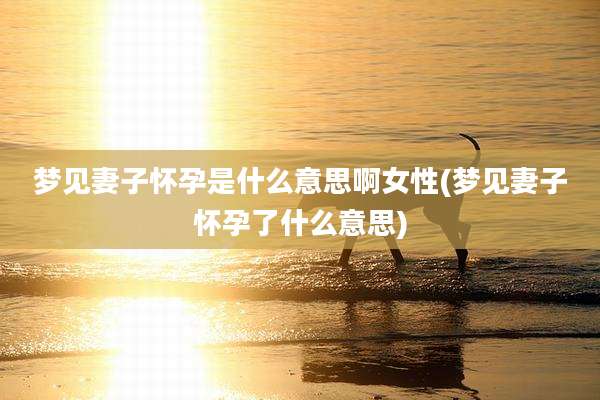 梦见妻子怀孕是什么意思啊女性(梦见妻子怀孕了什么意思)