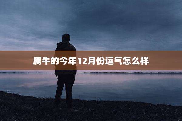 属牛的今年12月份运气怎么样