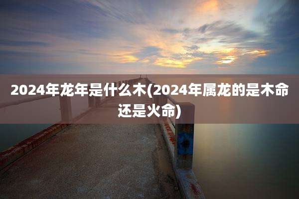 2024年龙年是什么木(2024年属龙的是木命还是火命)