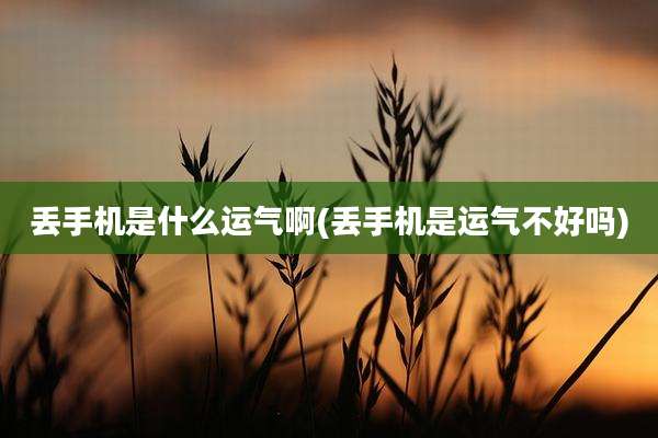 丢手机是什么运气啊(丢手机是运气不好吗)