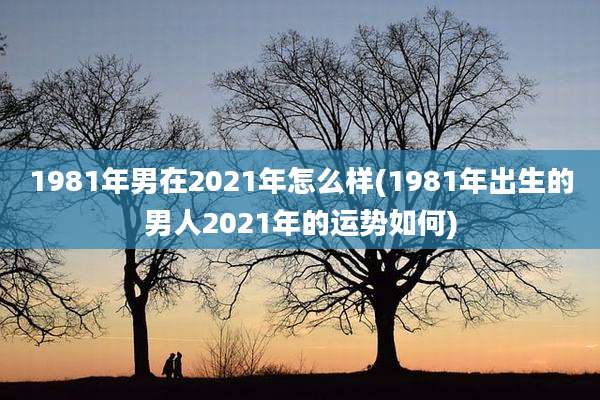 1981年男在2021年怎么样(1981年出生的男人2021年的运势如何)