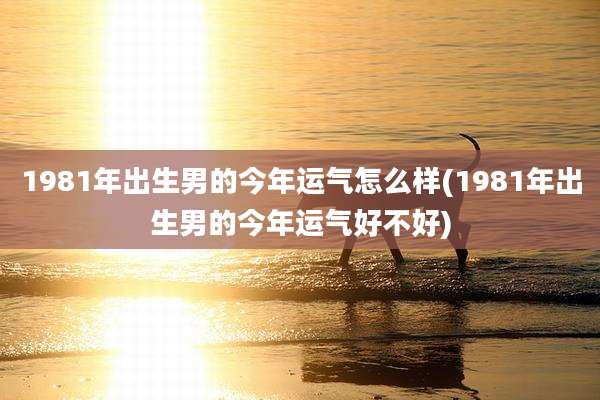 1981年出生男的今年运气怎么样(1981年出生男的今年运气好不好)