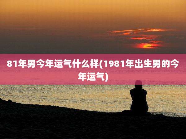 81年男今年运气什么样(1981年出生男的今年运气)