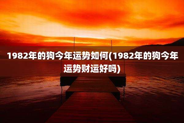 1982年的狗今年运势如何(1982年的狗今年运势财运好吗)