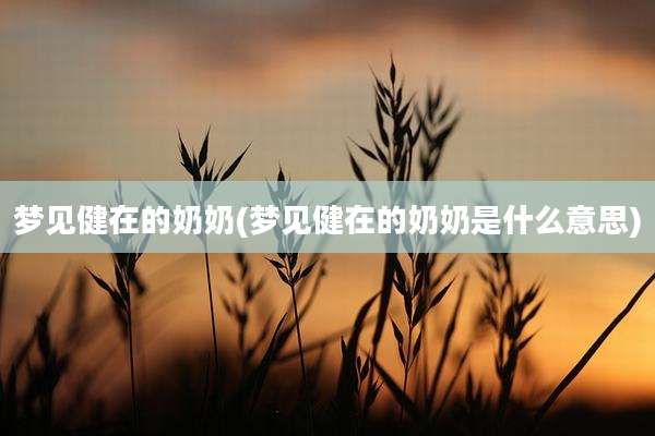 梦见健在的奶奶(梦见健在的奶奶是什么意思)