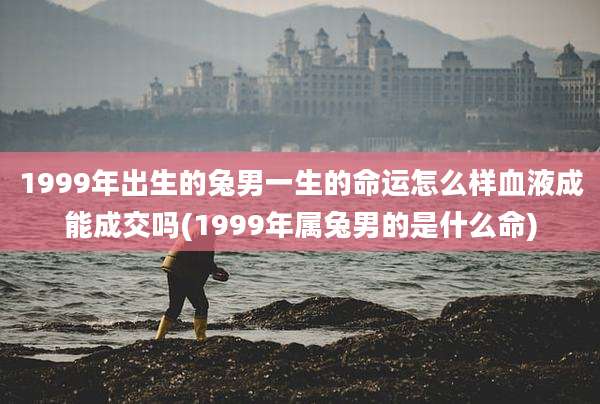 1999年出生的兔男一生的命运怎么样血液成能成交吗(1999年属兔男的是什么命)