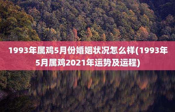1993年属鸡5月份婚姻状况怎么样(1993年5月属鸡2021年运势及运程)