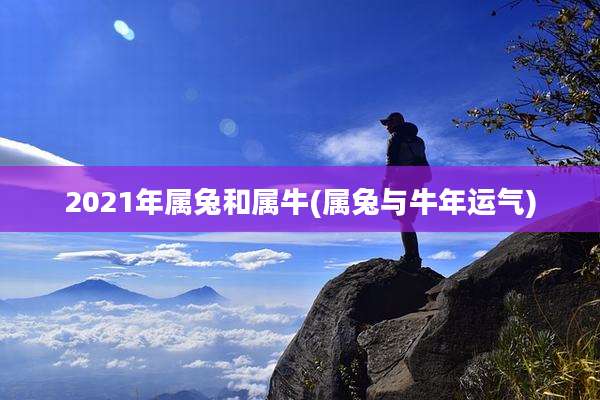2021年属兔和属牛(属兔与牛年运气)