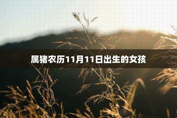 属猪农历11月11日出生的女孩