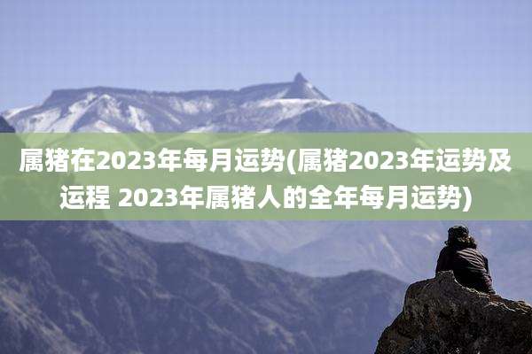 属猪在2023年每月运势(属猪2023年运势及运程 2023年属猪人的全年每月运势)