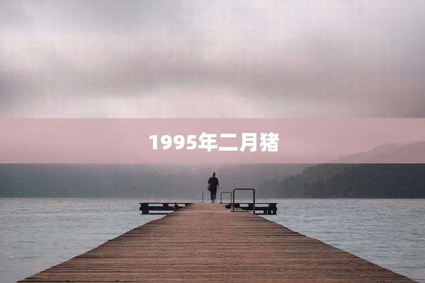 1995年二月猪