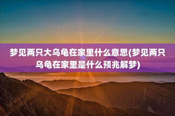梦见两只大乌龟在家里什么意思(梦见两只乌龟在家里是什么预兆解梦)