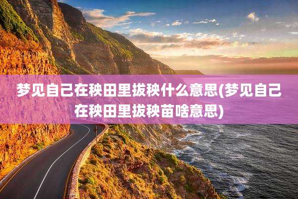 梦见自己在秧田里拔秧什么意思(梦见自己在秧田里拔秧苗啥意思)