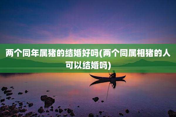 两个同年属猪的结婚好吗(两个同属相猪的人可以结婚吗)