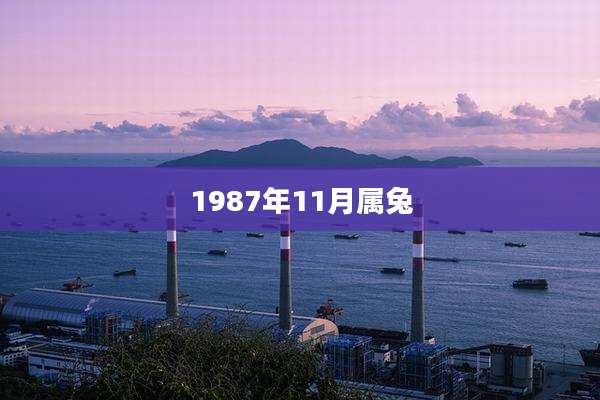1987年11月属兔