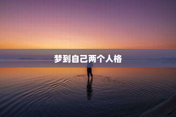 梦到自己两个人格
