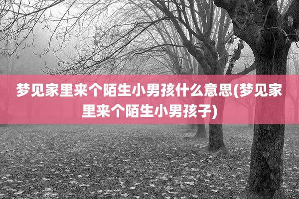 梦见家里来个陌生小男孩什么意思(梦见家里来个陌生小男孩子)