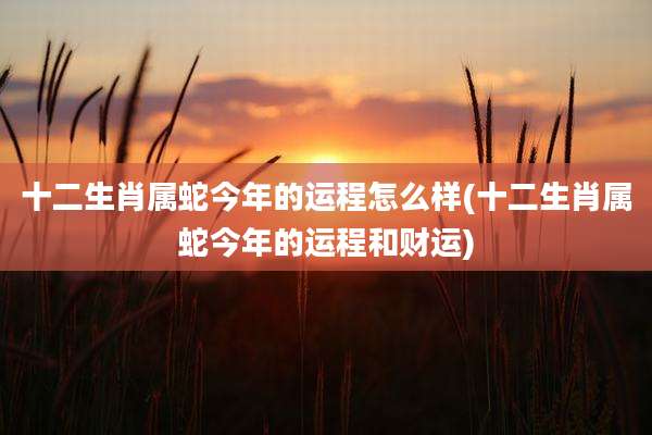十二生肖属蛇今年的运程怎么样(十二生肖属蛇今年的运程和财运)