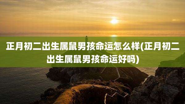 正月初二出生属鼠男孩命运怎么样(正月初二出生属鼠男孩命运好吗)