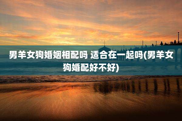 男羊女狗婚姻相配吗 适合在一起吗(男羊女狗婚配好不好)