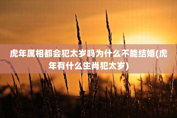 虎年属相都会犯太岁吗为什么不能结婚(虎年有什么生肖犯太岁)