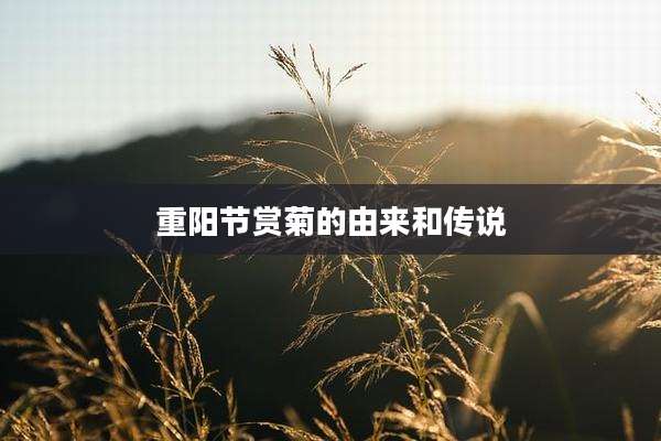 重阳节赏菊的由来和传说