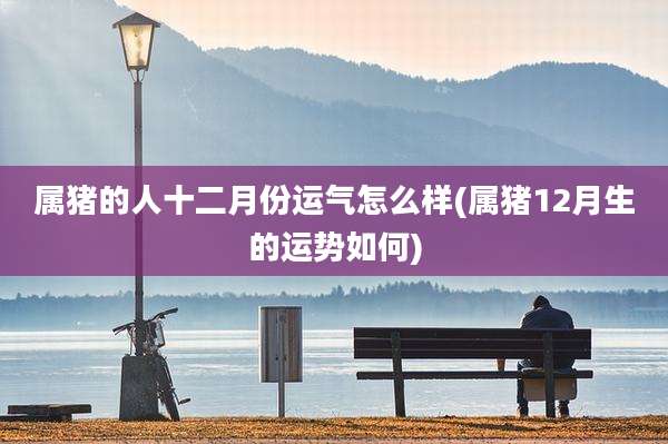属猪的人十二月份运气怎么样(属猪12月生的运势如何)