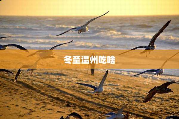 冬至温州吃啥