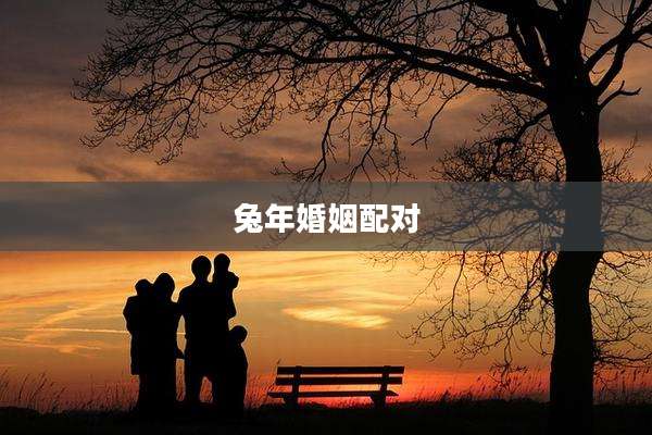 兔年婚姻配对