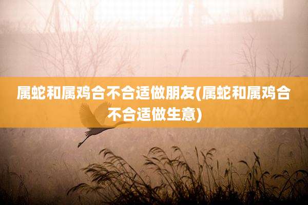 属蛇和属鸡合不合适做朋友(属蛇和属鸡合不合适做生意)