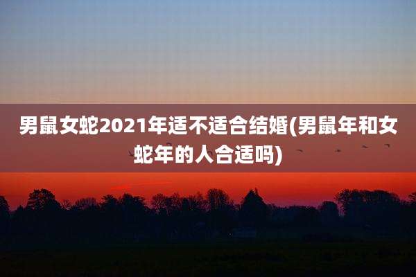男鼠女蛇2021年适不适合结婚(男鼠年和女蛇年的人合适吗)