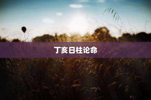 丁亥日柱论命