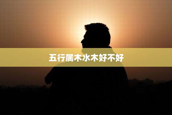 五行属木水木好不好
