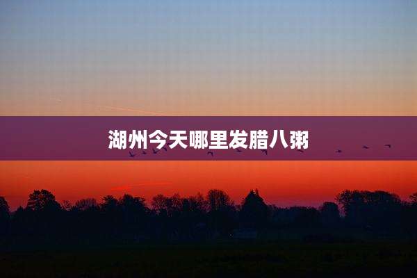 湖州今天哪里发腊八粥