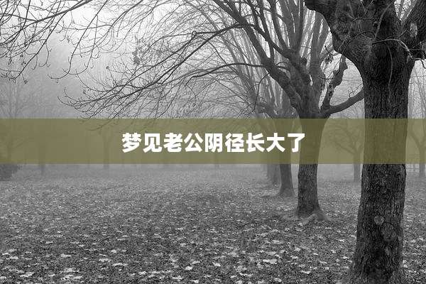梦见老公阴径长大了