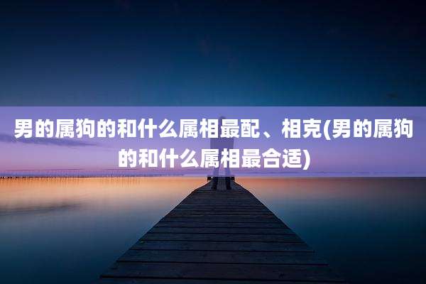 男的属狗的和什么属相最配、相克(男的属狗的和什么属相最合适)