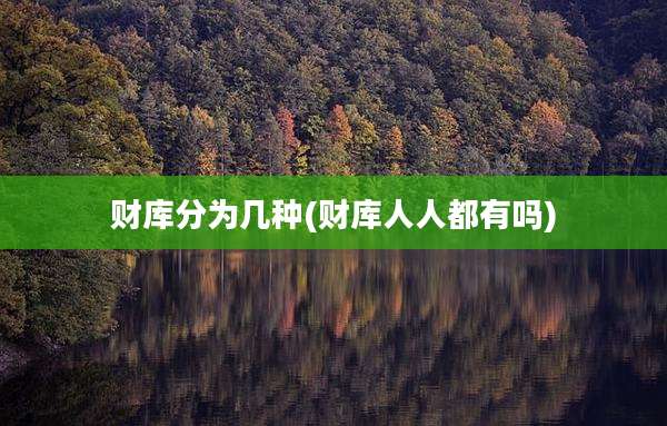 财库分为几种(财库人人都有吗)
