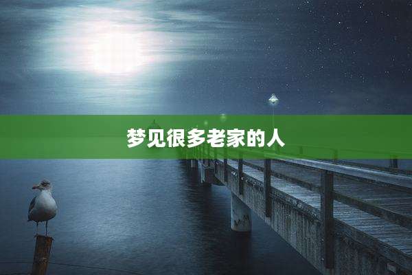 梦见很多老家的人